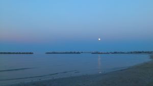 Dank an unsere Gäste, die uns so wunderbare Fotos zur Verfügung gestellt haben! - Bild 12: Casa Lucia: Ferienwhg Mittelitalien / meernah / familien- + hundefreundlich