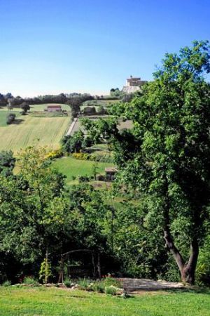 Bild 6: Casa Lucia: Ferienwhg Mittelitalien / meernah / familien- + hundefreundlich