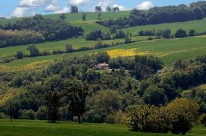 Bild 9: Casa Lucia: Ferienwhg Mittelitalien / meernah / familien- + hundefreundlich