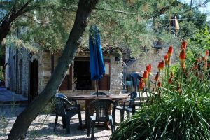 Bild 7: Casa Lucia: Ferienwhg Mittelitalien / meernah / familien- + hundefreundlich