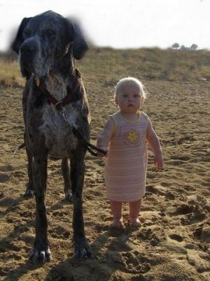 Bild 10: Casa Lucia: Ferienwhg Mittelitalien / meernah / familien- + hundefreundlich