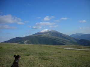 Bild 11: Casa Lucia: Ferienwhg Mittelitalien / meernah / familien- + hundefreundlich