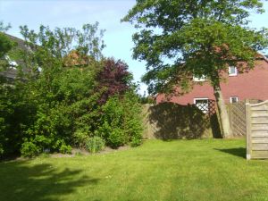 Bild 10: Fewo Austernfischer, gemütlich, ruhig gelegen, strandnah, bis 3 Pers., Hund