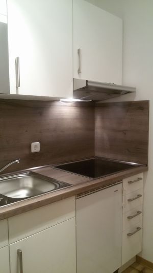 Bild 5: Fewo Austernfischer, gemütlich, ruhig gelegen, strandnah, bis 3 Pers., Hund