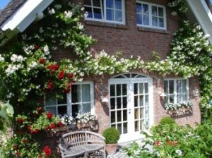 ... mit Kletterrosen "Boby James" - Bild 15: 5-Sterne Landhaus unter Reet + ggf. mit 85 m/2 Fitness-/Wellnessbereich