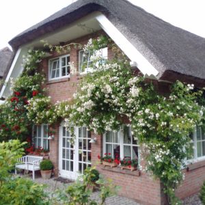 Bild 8: 5-Sterne Landhaus unter Reet + ggf. mit 85 m/2 Fitness-/Wellnessbereich