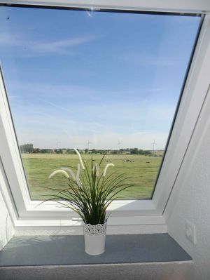 Bild 9: Nordseeferienhaus m. Kamin f. Kind u. Hund, Sauna