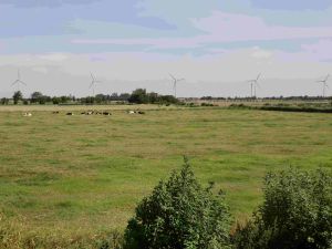 Bild 11: Nordseeferienhaus m. Kamin f. Kind u. Hund, Sauna