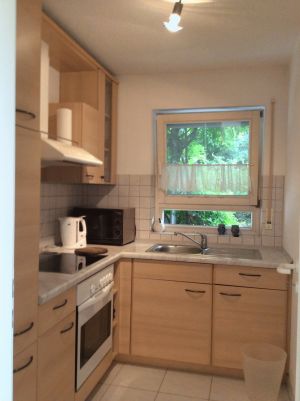 Bild 7: Ferienwohnung Graf mit Blick auf den Bodensee und den Hohentwiel
