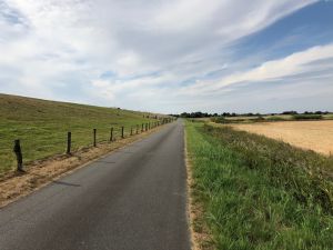 Bild 20: Reet-Ferienhaus in Emmelsbüll-Horsbüll