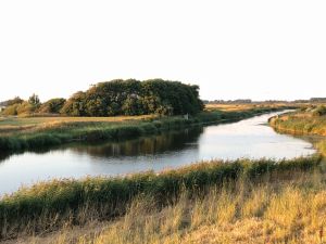 Bild 19: Reet-Ferienhaus in Emmelsbüll-Horsbüll