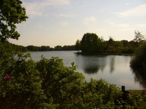 Der Berumer Kiessee ist fußläufig zu erreichen und lädt zum Spaziergang oder auch zu einem Sprung ins kühle Nass ein. - Bild 13: Ferienhaus "Kristina" an der ostfriesischen Nordseeküste - Hunde erlaubt