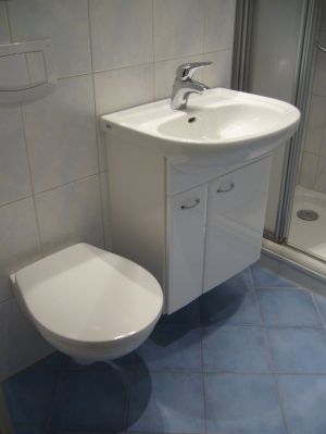 Bad mit Dusche, WC, Waschtisch,Waschmaschine und Handtuchheizkörper. - Bild 7: Ferienhaus "Kristina" an der ostfriesischen Nordseeküste - Hunde erlaubt