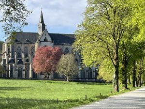 Bild 11: Ferienwohnung Nagel Bergisch Gladbach