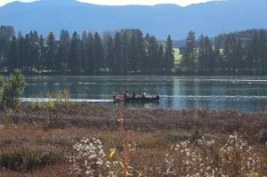 Bild 15: Ferienhaus 65 in Lechbruck am See / Allgäu
