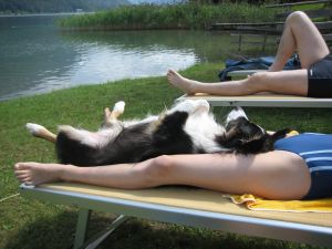 Bild 20: Ferienhaus Regina mit eingezäunten Garten und Seeblick