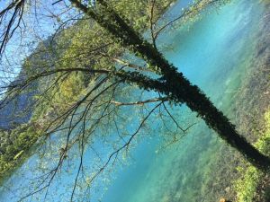 Bild 23: Ferienhaus Regina mit eingezäunten Garten und Seeblick