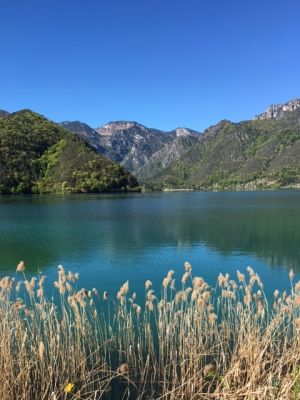 Bild 24: Ferienhaus Regina mit eingezäunten Garten und Seeblick