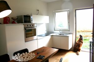 sehr gut eingerichtete Küche - Bild 10: Ferienhaus Regina mit eingezäunten Garten und Seeblick