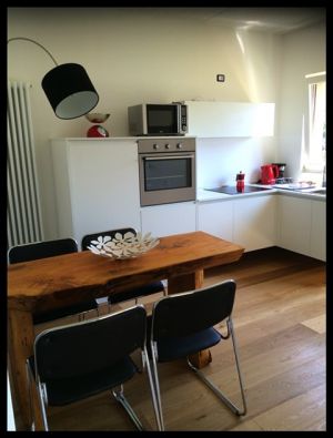 Bild 8: Ferienhaus Regina mit eingezäunten Garten und Seeblick