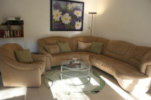 Eine große Ledercouch lädt zum Lesen, Fernsehschauen oder einfach nur zum Fenster herausschauen und entspannen ein. - Bild 5: Ferienhaus Zaunkönig Ihr Urlaub mit Hund im Odenwald / Hessen