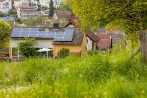 Hier haben Sie Ruhe und freien Blick in die Natur - Bild 3: Ferienhaus Zaunkönig Ihr Urlaub mit Hund im Odenwald / Hessen