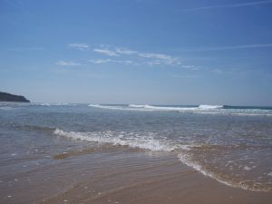 Bild 18: Les Prunelles Normannisches Natursteinhaus mit Wintergarten und Kamin