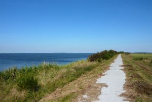 Bild 13: Landhäuser Waase Haus Nemo **** 2-Zimmer-Ferienwohnung für 2-4 Personen