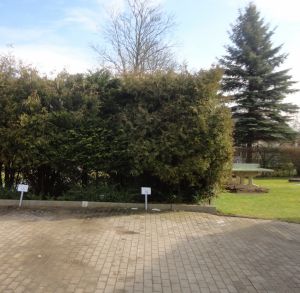 Bild 15: Landhäuser Waase Haus Nemo **** 2-Zimmer-Ferienwohnung für 2-4 Personen