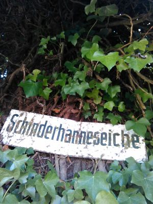 Bild 16: Luxus Blockhaus mitten im Wald Hunsrück