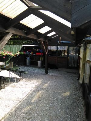 Bild 13: Luxus Blockhaus mitten im Wald Hunsrück