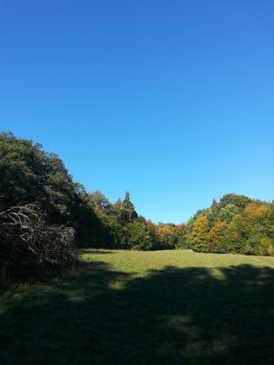 Bild 24: Luxus Blockhaus mitten im Wald Hunsrück