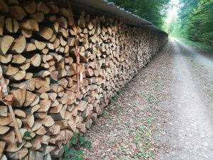 Bild 26: Luxus Blockhaus mitten im Wald Hunsrück