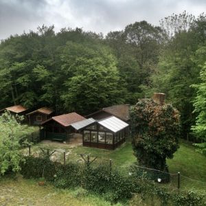 Bild 1: Luxus Blockhaus mitten im Wald Hunsrück