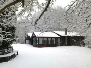 Bild 30: Luxus Blockhaus mitten im Wald Hunsrück