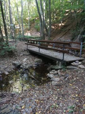 Bild 25: Luxus Blockhaus mitten im Wald Hunsrück