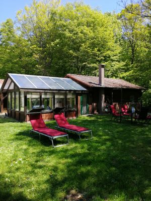 Bild 2: Luxus Blockhaus mitten im Wald Hunsrück