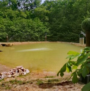 Ein 21 x 15 Meter großer Natur/Hundebadeteich mit fließendem Wasser! Ein wahres Paradies für die Hunde. - Bild 17: Luxus Blockhaus mitten im Wald Hunsrück