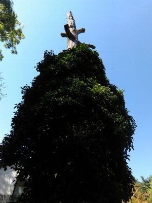 Bild 15: Luxus Blockhaus mitten im Wald Hunsrück