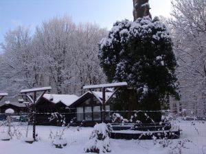 Bild 31: Luxus Blockhaus mitten im Wald Hunsrück