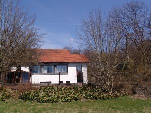 Bild 2: Luxus Ferienhaus mitten im Wald Hunsrück