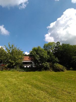 Bild 19: Luxus Ferienhaus mitten im Wald Hunsrück