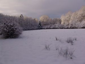 Bild 30: Luxus Ferienhaus mitten im Wald Hunsrück