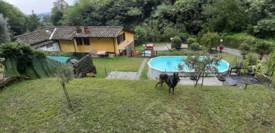 Bild: Villa Marina mit Swimmingpool und eingezäunten Garten in der Toskana