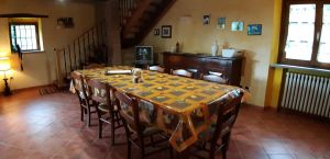 Bild 2: Villa Marina mit Swimmingpool und eingezäunten Garten in der Toskana