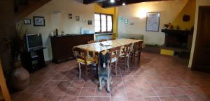 Bild 1: Villa Marina mit Swimmingpool und eingezäunten Garten in der Toskana