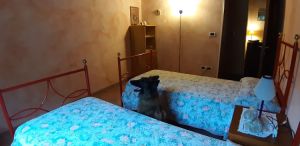 Bild 7: Villa Marina mit Swimmingpool und eingezäunten Garten in der Toskana