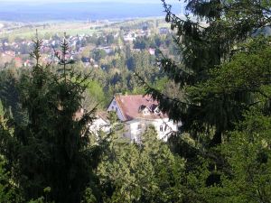 über Wanderwege in 1,5 km Entfernung oder in 3 Minuten mit dem Auto zu erreichen - Bild 18: Ferienwohnung "Der Falkenhorst" Alleinlage im Wald