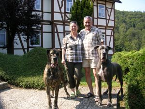 Halt ich nicht die Ohren schön, bereit zum Abflug - Bild 1: Ferienwohnung "Der Falkenhorst" Alleinlage im Wald