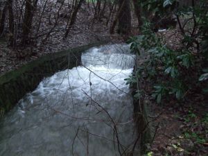Bild 15: Schönes Ferienappartement im Sauerland